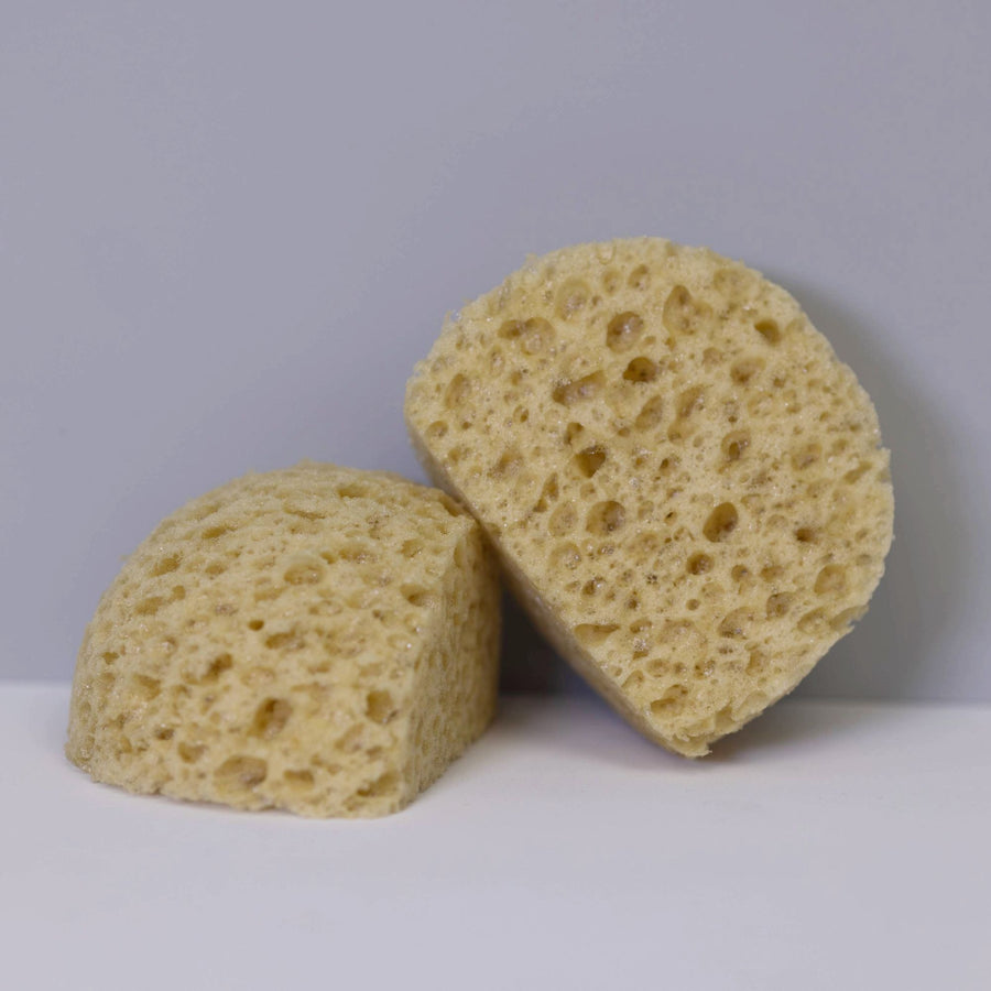 SIMBODIES® Large Moulage Texture Sponges Pack of 2